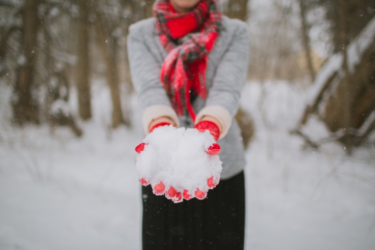 Snowy Indiana Winter Portrait Session_0044.jpg