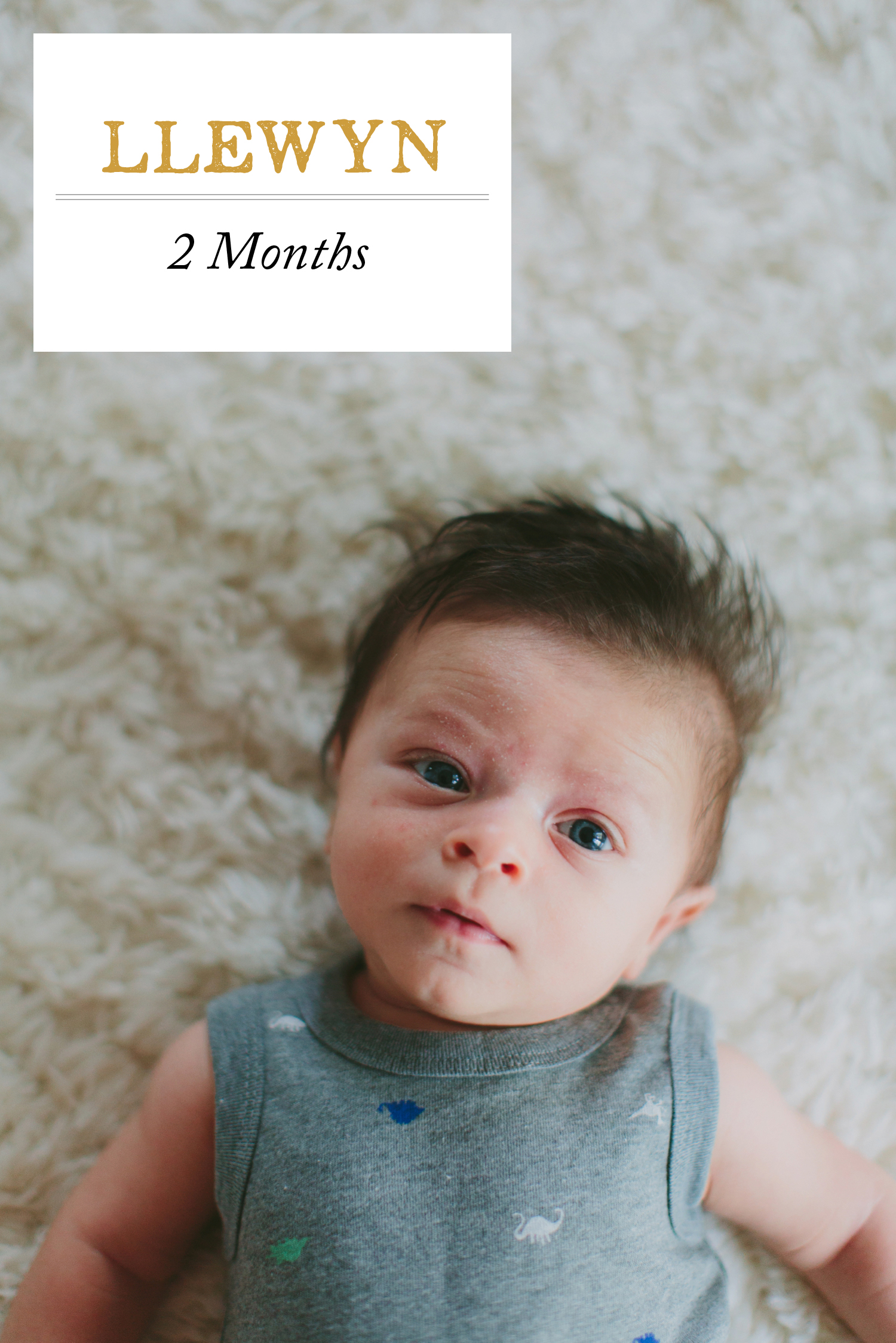 Llewyn Monthly Newborn to 2 Months_0017