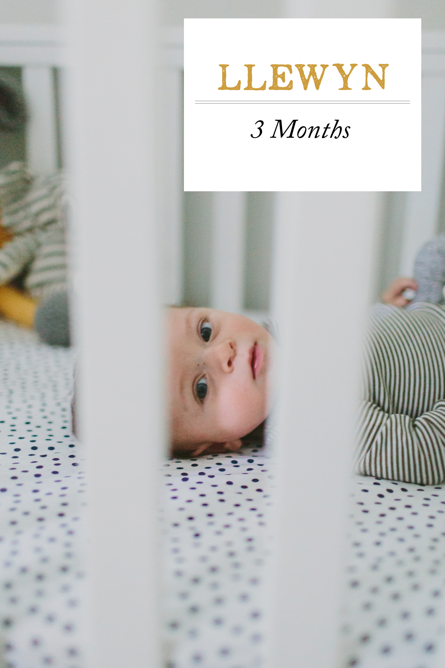 Llewyn Monroe 3 and 4 Months_0001