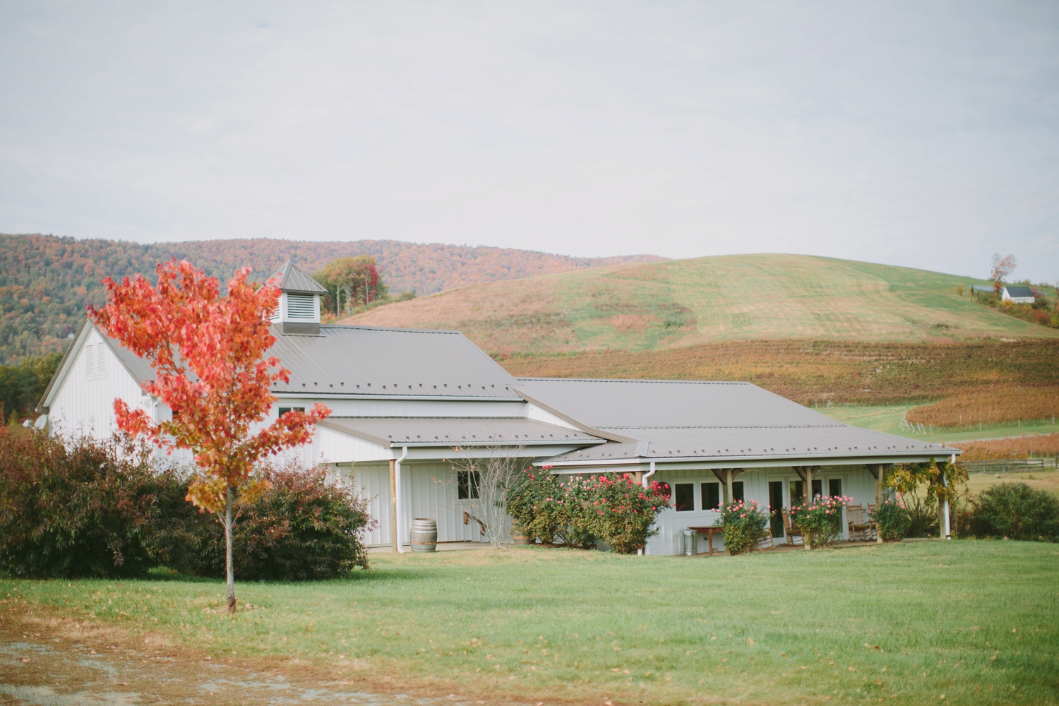 The Farmhouse at Veritas Fall Virginia Wedding_0085