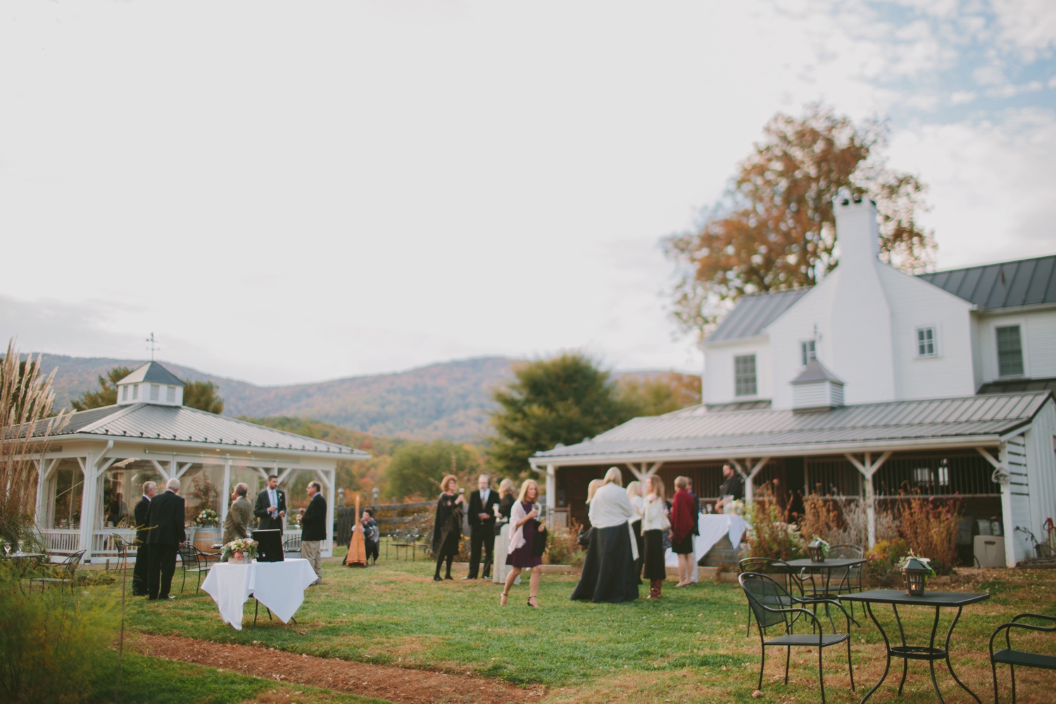 The Farmhouse at Veritas Fall Virginia Wedding_0128
