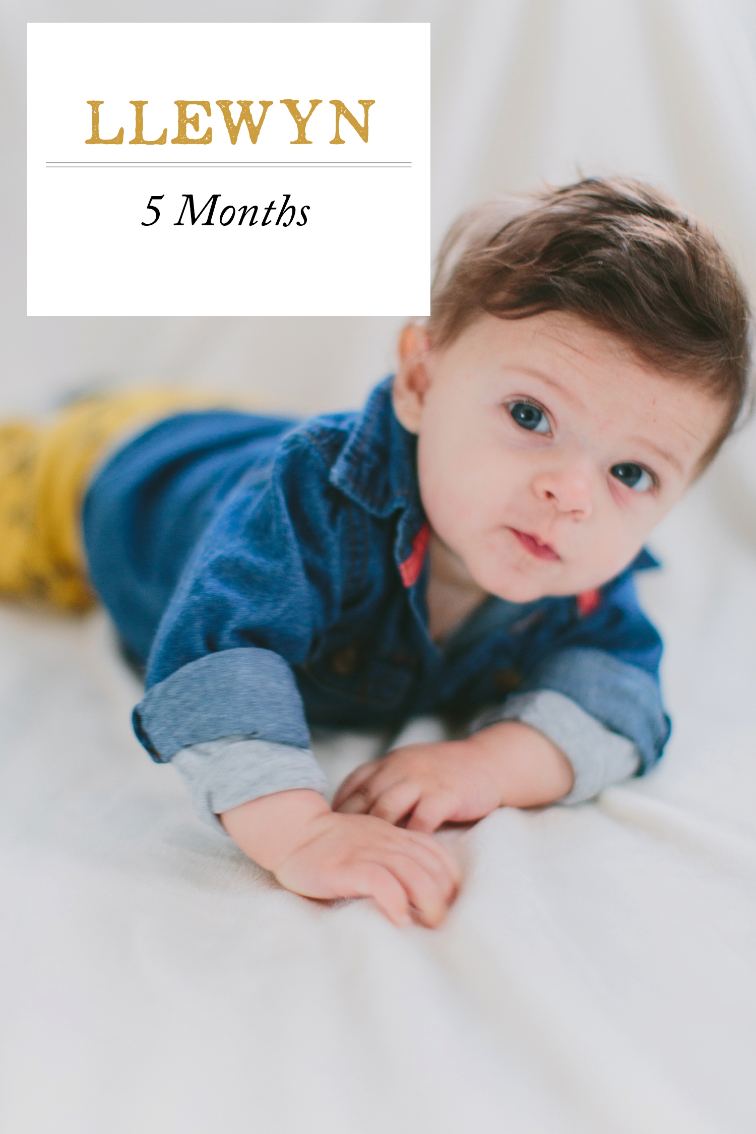 Llewyn Monroe 5 Month Baby Photos_0002
