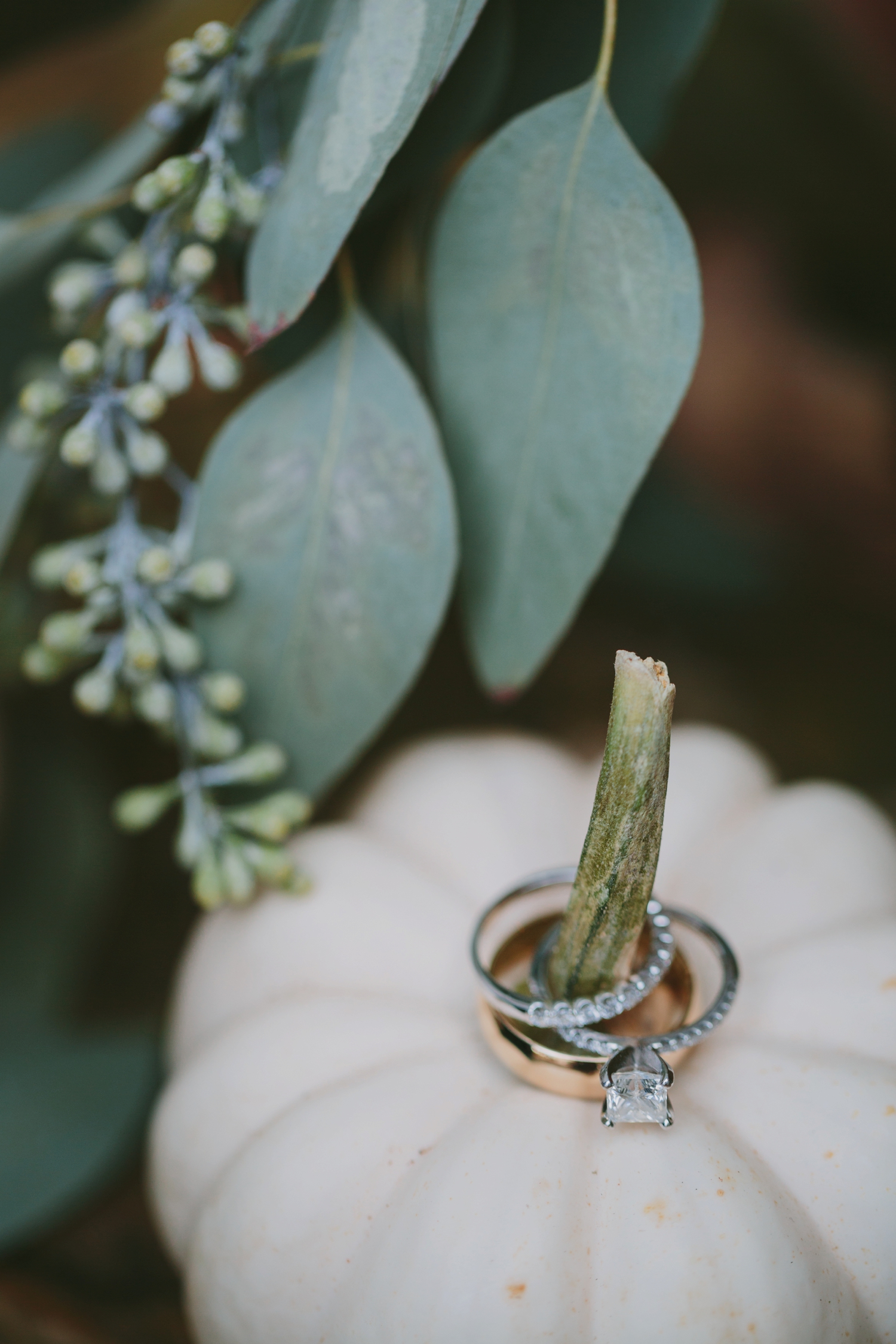 Tori Watson Photography Ring Bling Wedding Ring Shots_0001