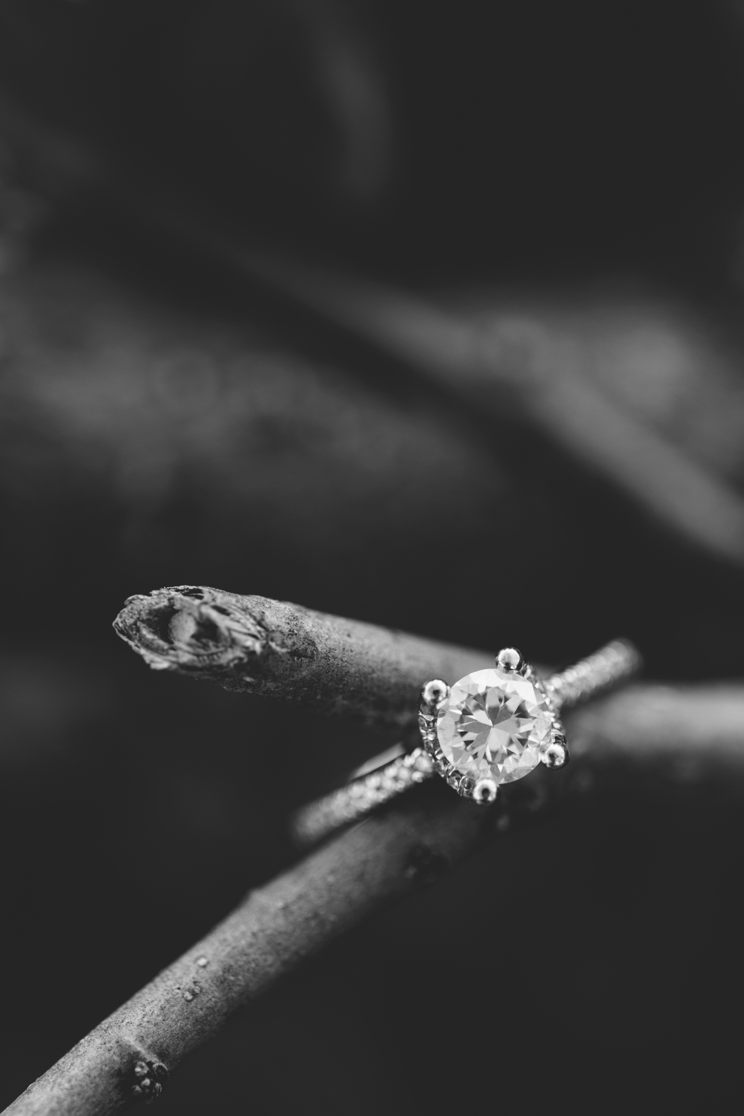 Tori Watson Photography Ring Bling Wedding Ring Shots_0003
