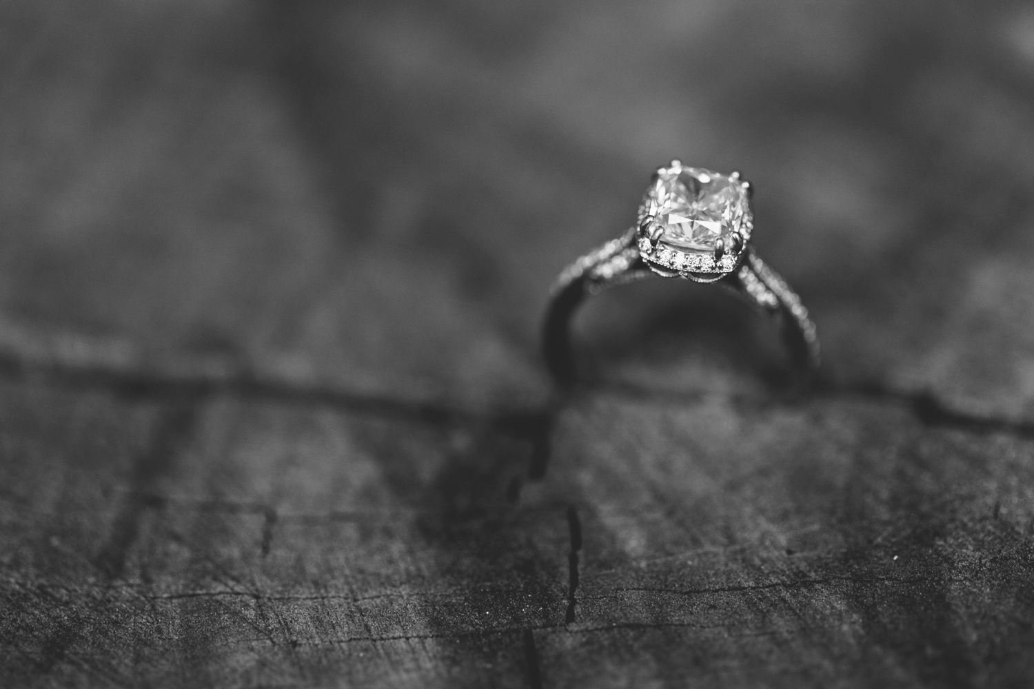 Tori Watson Photography Ring Bling Wedding Ring Shots_0008