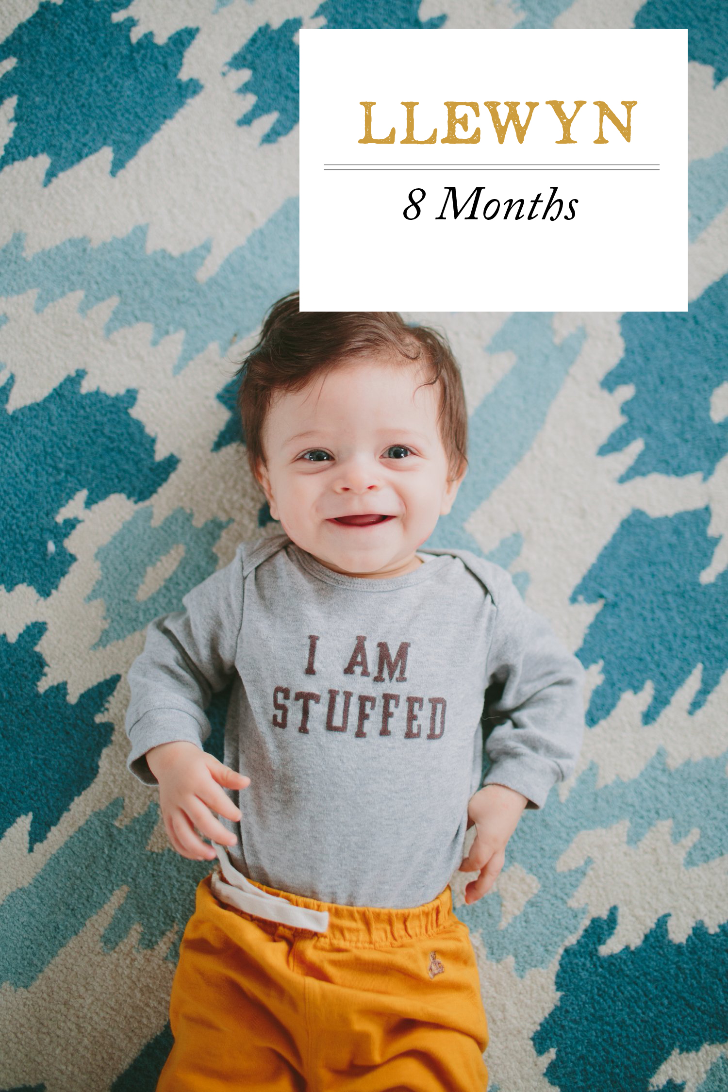 Llewyn Baby Boy 8 Month Photos_0001 copy