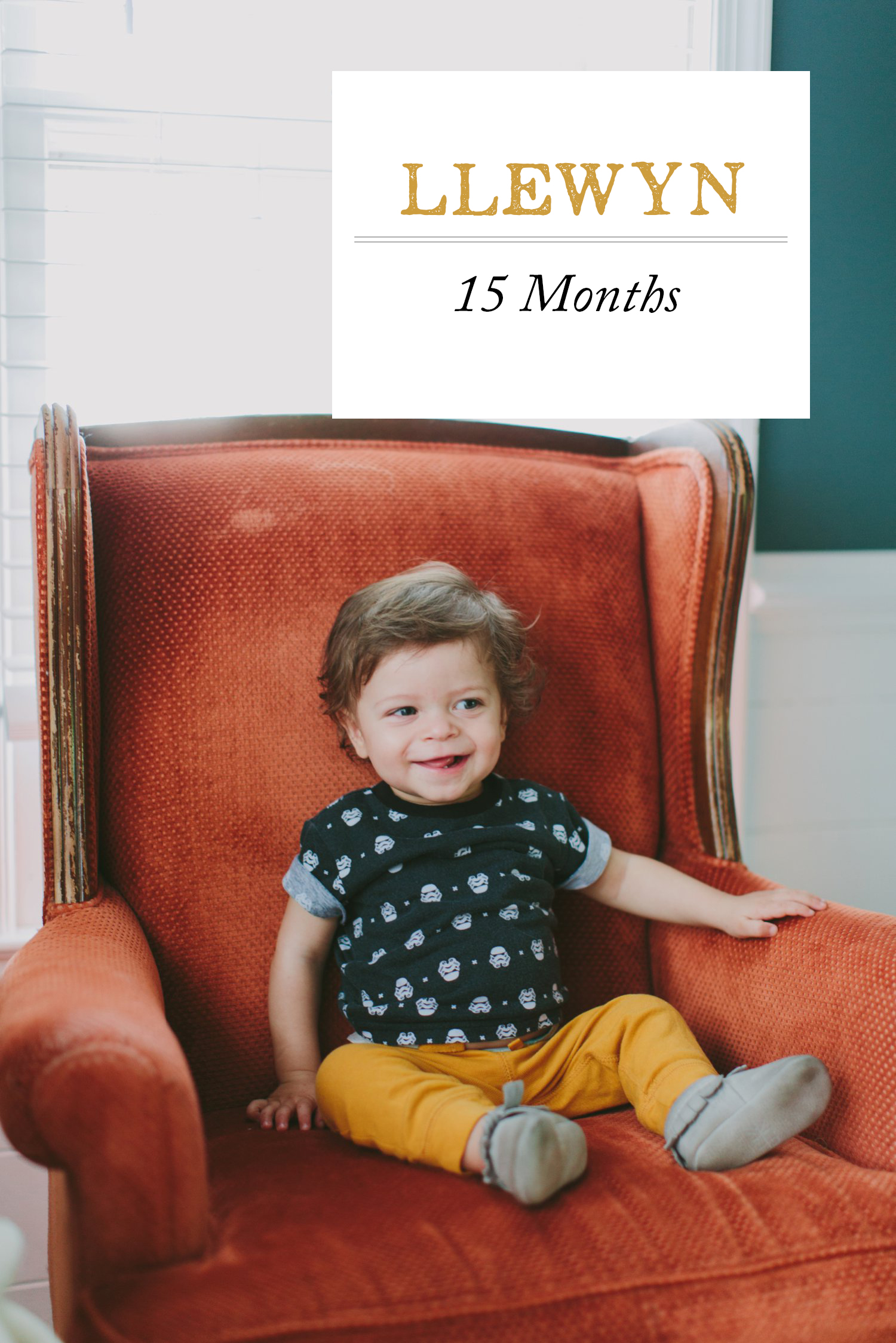 llewyn-monthly-15-months-old_0001